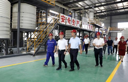 湖南永澤冶金與永晟福科技新廠竣工投產(chǎn)，并深化教育咨詢(xún)服務(wù)，開(kāi)啟產(chǎn)業(yè)與人才協(xié)同發(fā)展新篇章